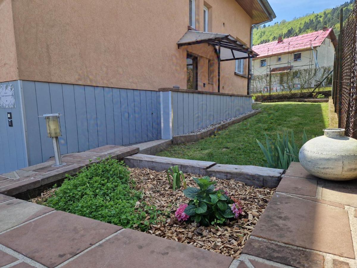 Apartamento L'Ecole Buissonniere Dabo Exterior foto
